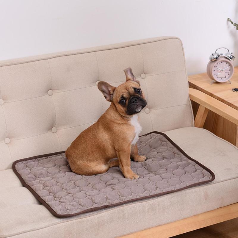 Help your Pet Beat the Heat with the Cozy Cool Pet Mat!!