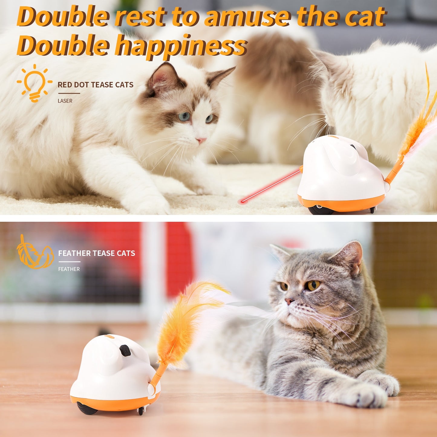 Purrfect Interactive Play Toy for your Cat or Kitten!