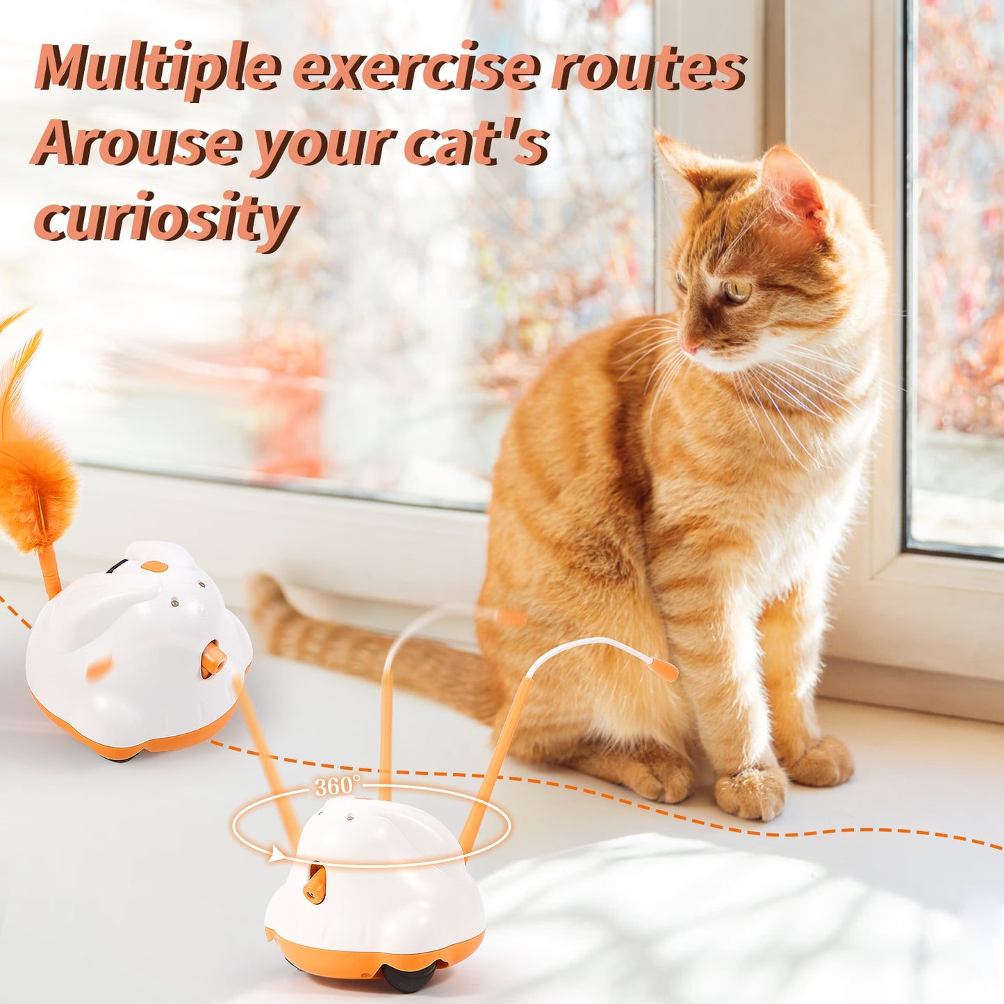 Purrfect Interactive Play Toy for your Cat or Kitten!